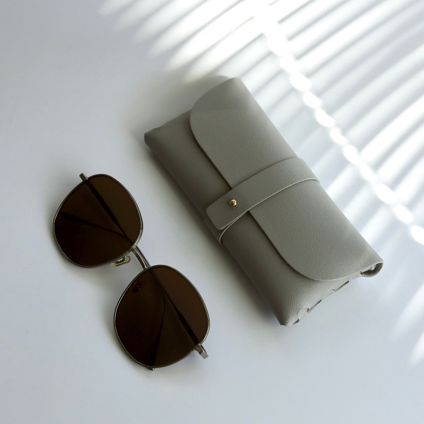 Sunglasses Case